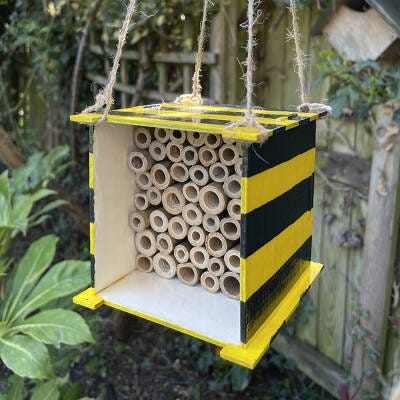 Bumble Bee Hotel craft activity