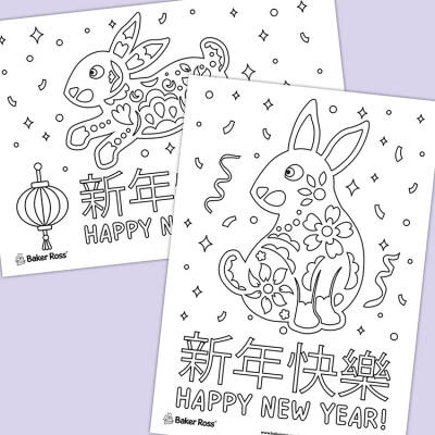 Year of the Rabbit Posters craft activity